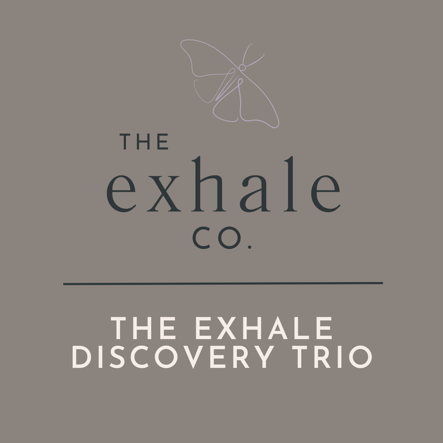 A square graphic with a taupe-gray background featuring the text 'THE exhale CO.' in dark gray with a thin white butterfly outline above, and 'THE EXHALE DISCOVERY TRIO' in white below a horizontal dark line.