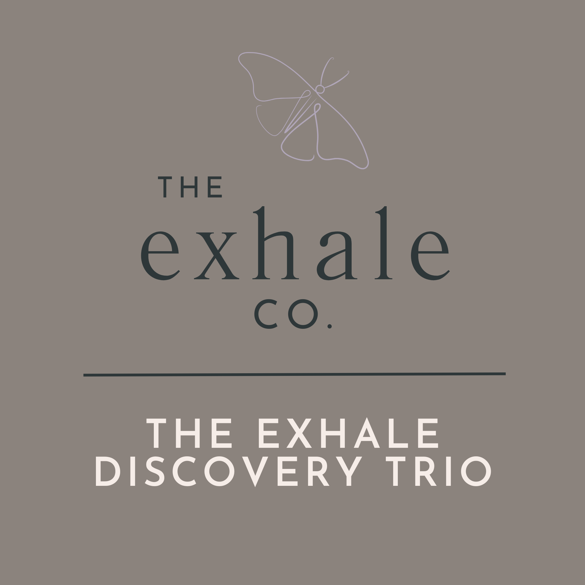 A square graphic with a taupe-gray background featuring the text 'THE exhale CO.' in dark gray with a thin white butterfly outline above, and 'THE EXHALE DISCOVERY TRIO' in white below a horizontal dark line.