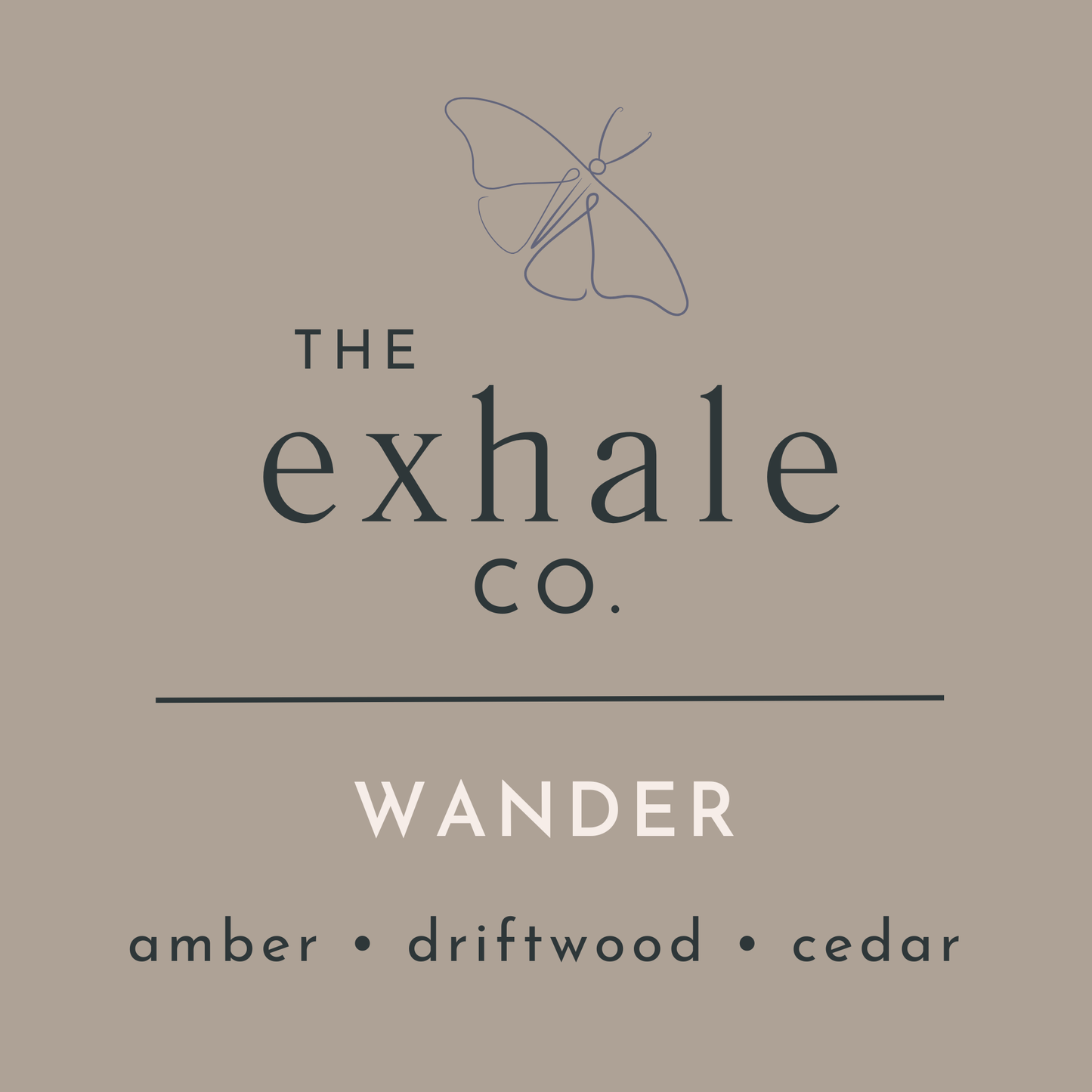 Wander